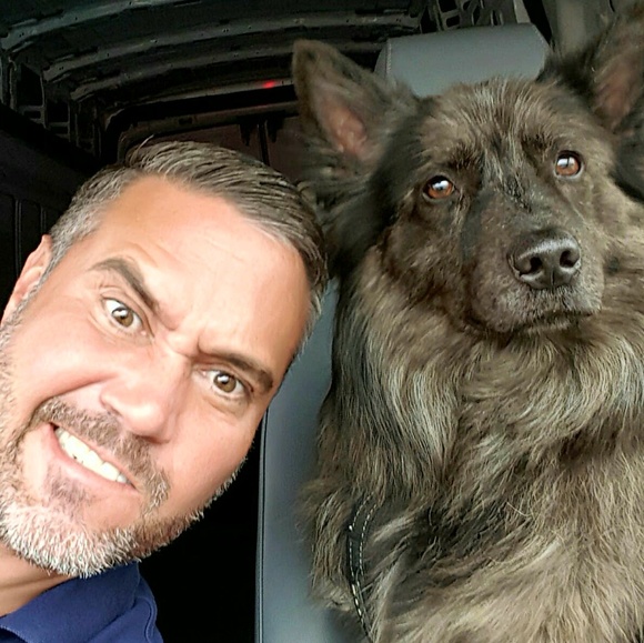 Meet your Posher, Lee Pupak " Bohemian " - Picture 8 of 8